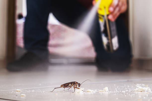 Pest Prevention Services in Oxford, NC